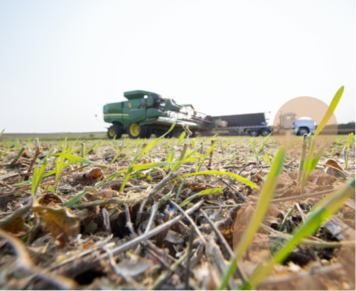 Retour d’expérience KIMOCE Facility Management : CARGILL